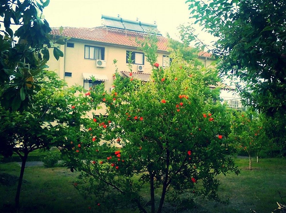 Hotel Viktoria Tirana Mjull-Bathore Экстерьер фото